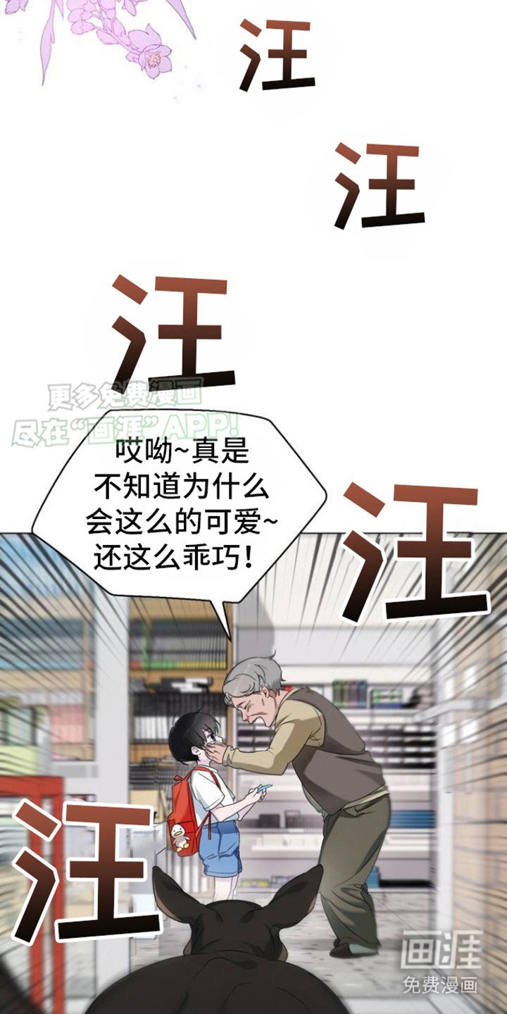 第1章：太可爱的错