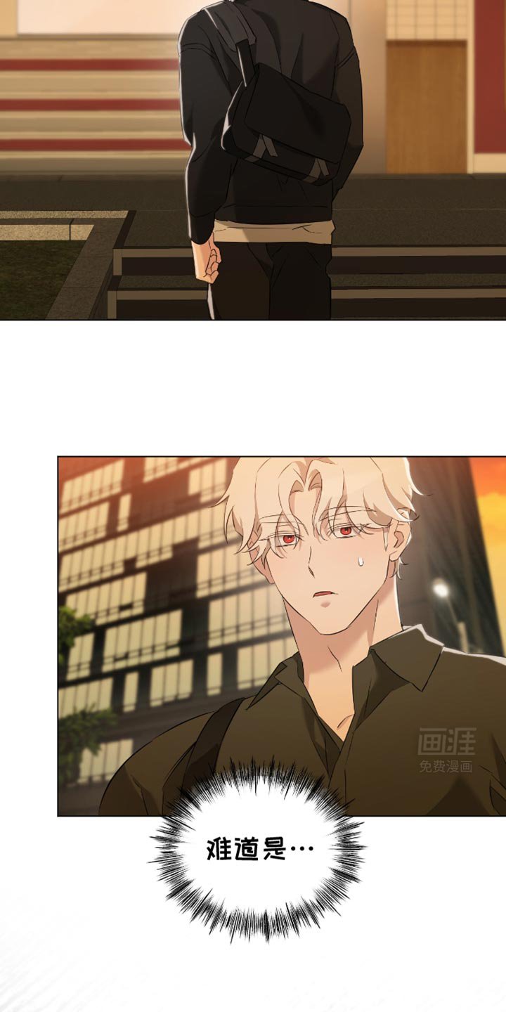第24章：实话实话