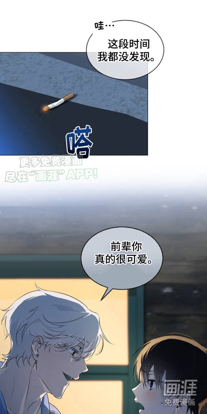 第4章：不挑对象