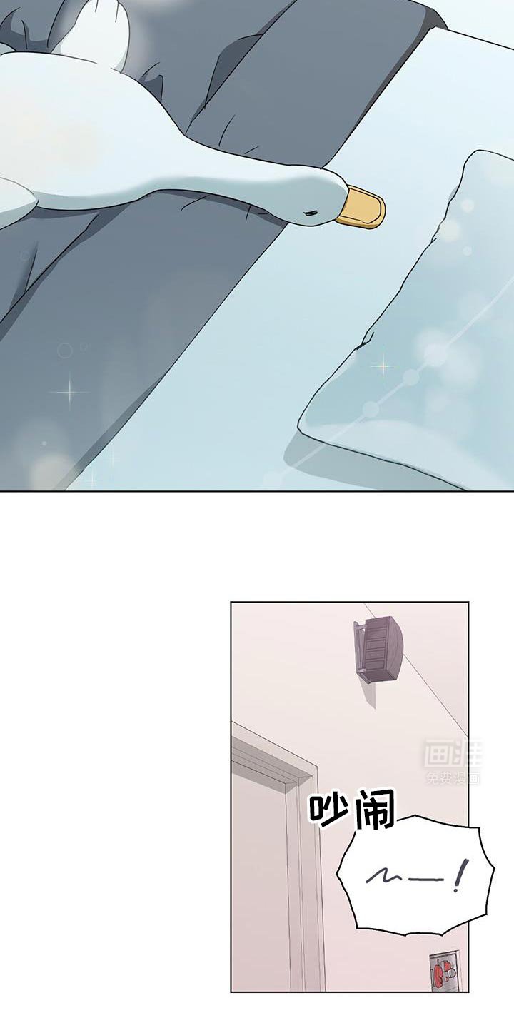 第41章：我不会打架