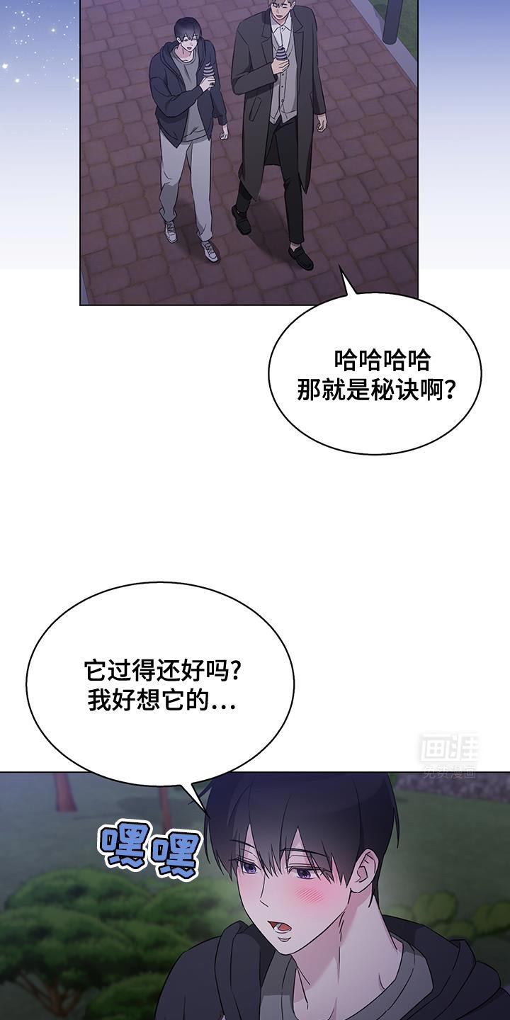 第43章：绝对不能告诉哥哥