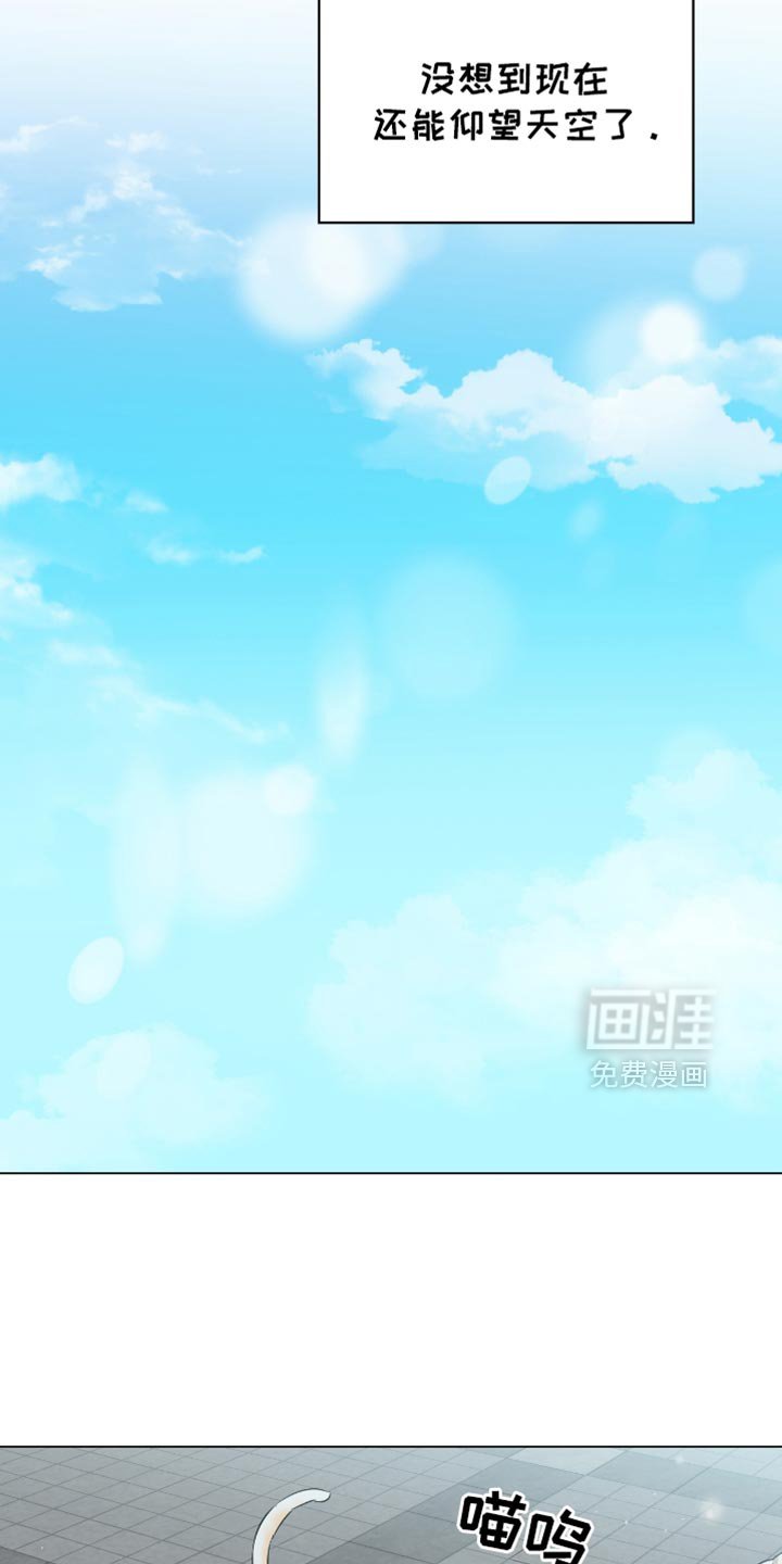 第64章：来回答你的
