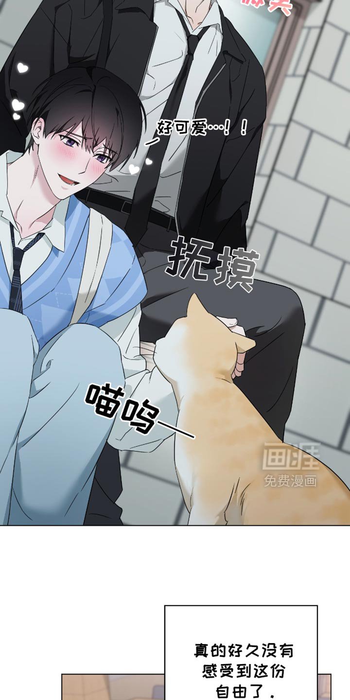 第64章：来回答你的