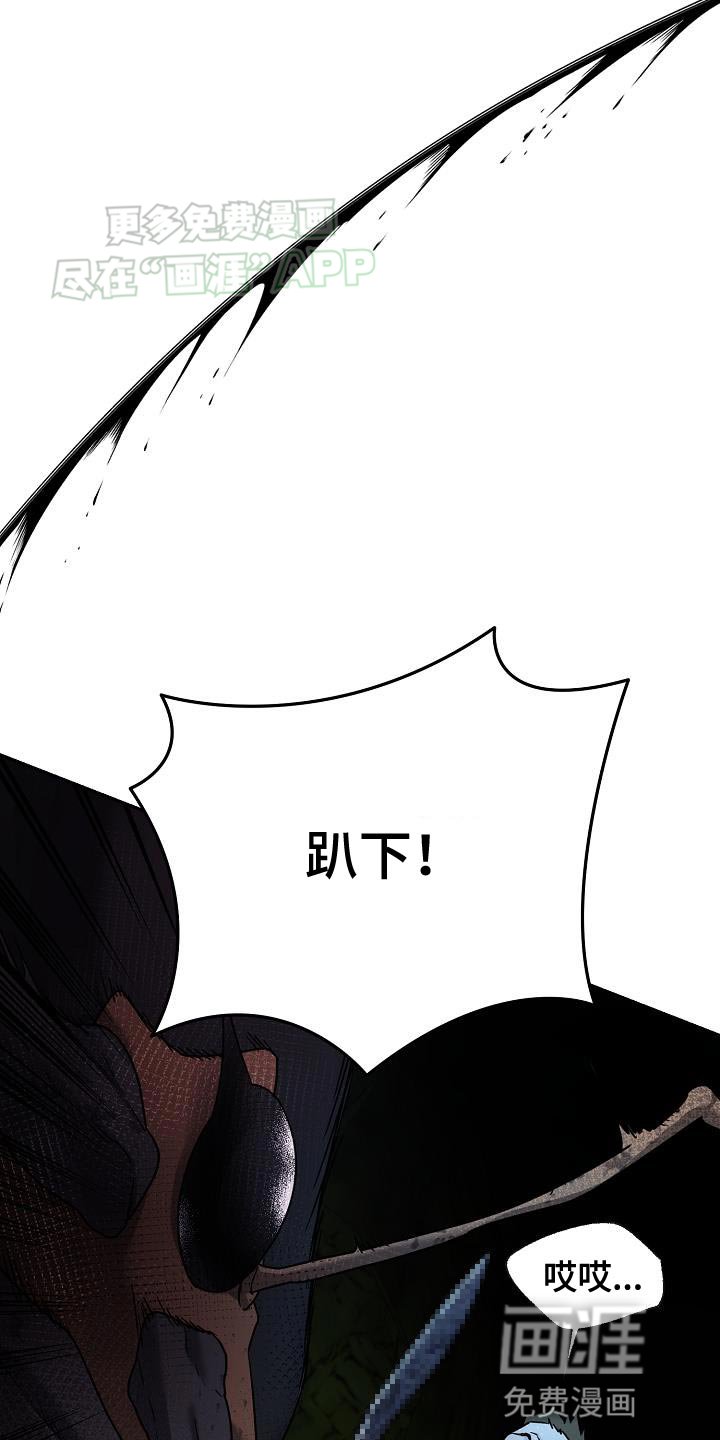 第19章：初中毕业