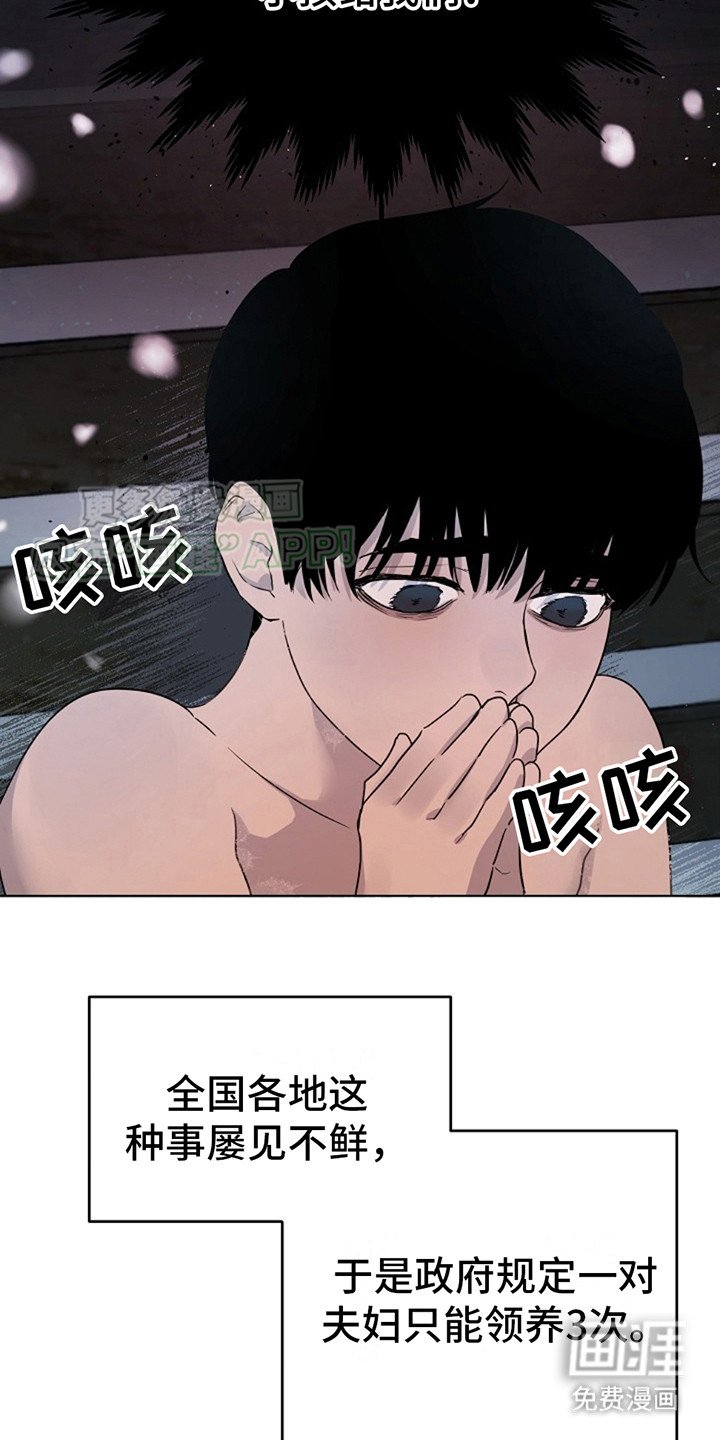 第2章：领养