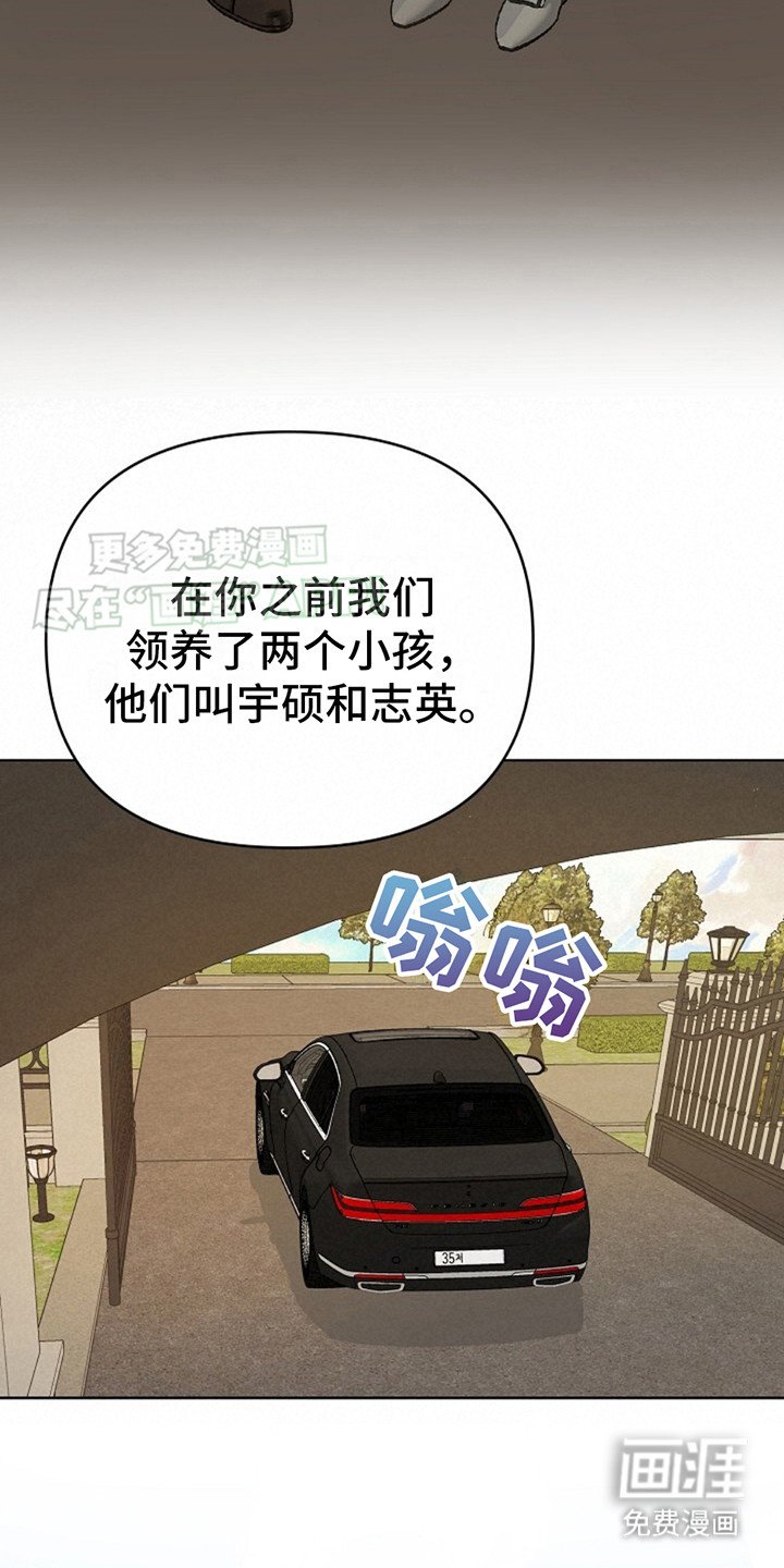 第2章：领养