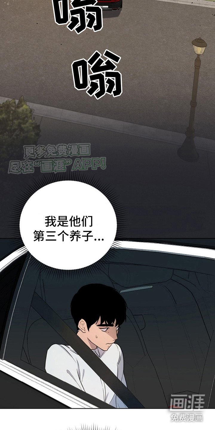 第2章：领养