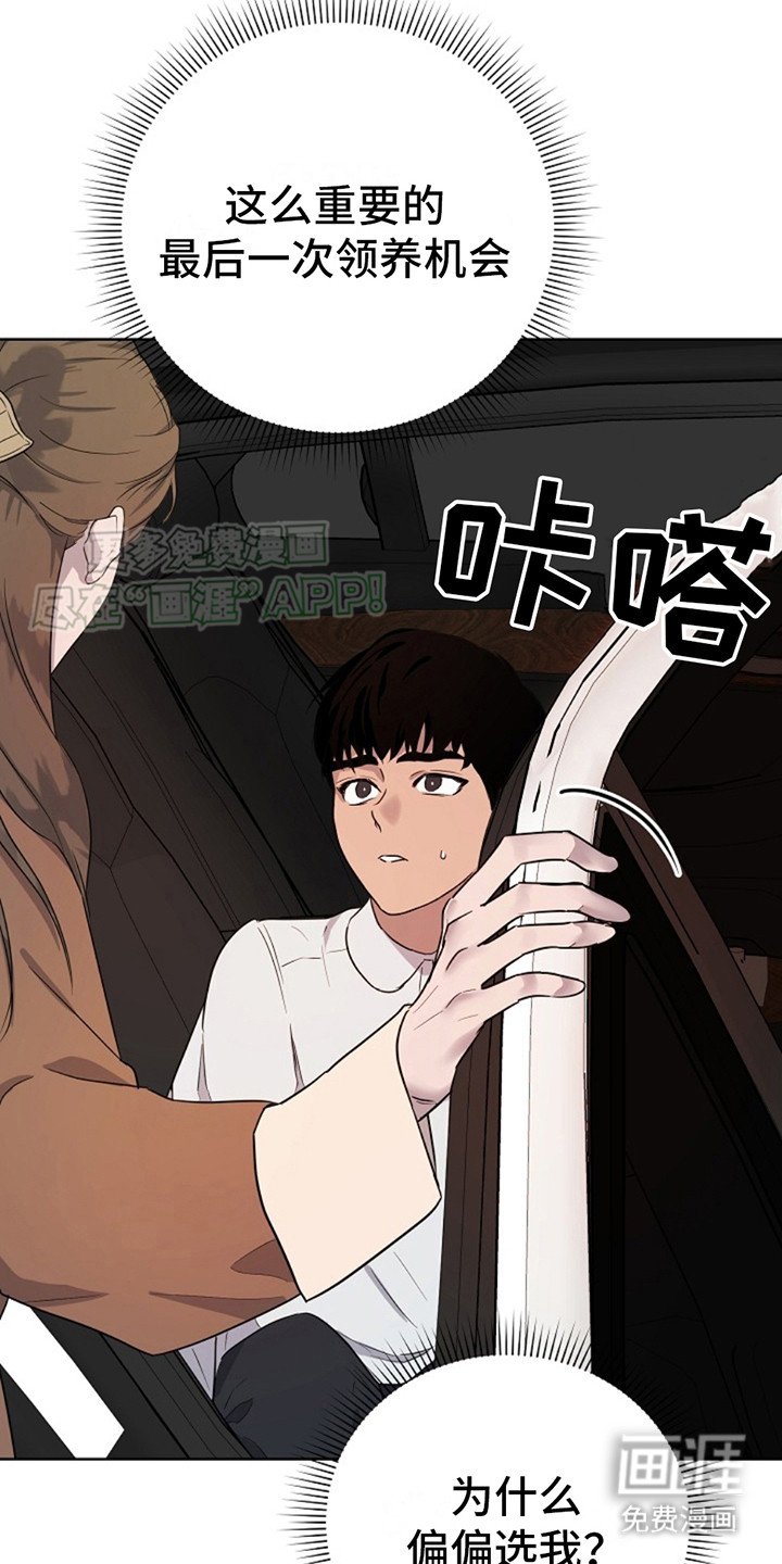 第2章：领养