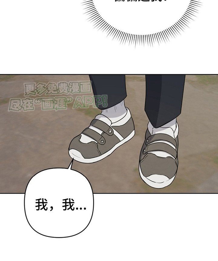 第2章：领养