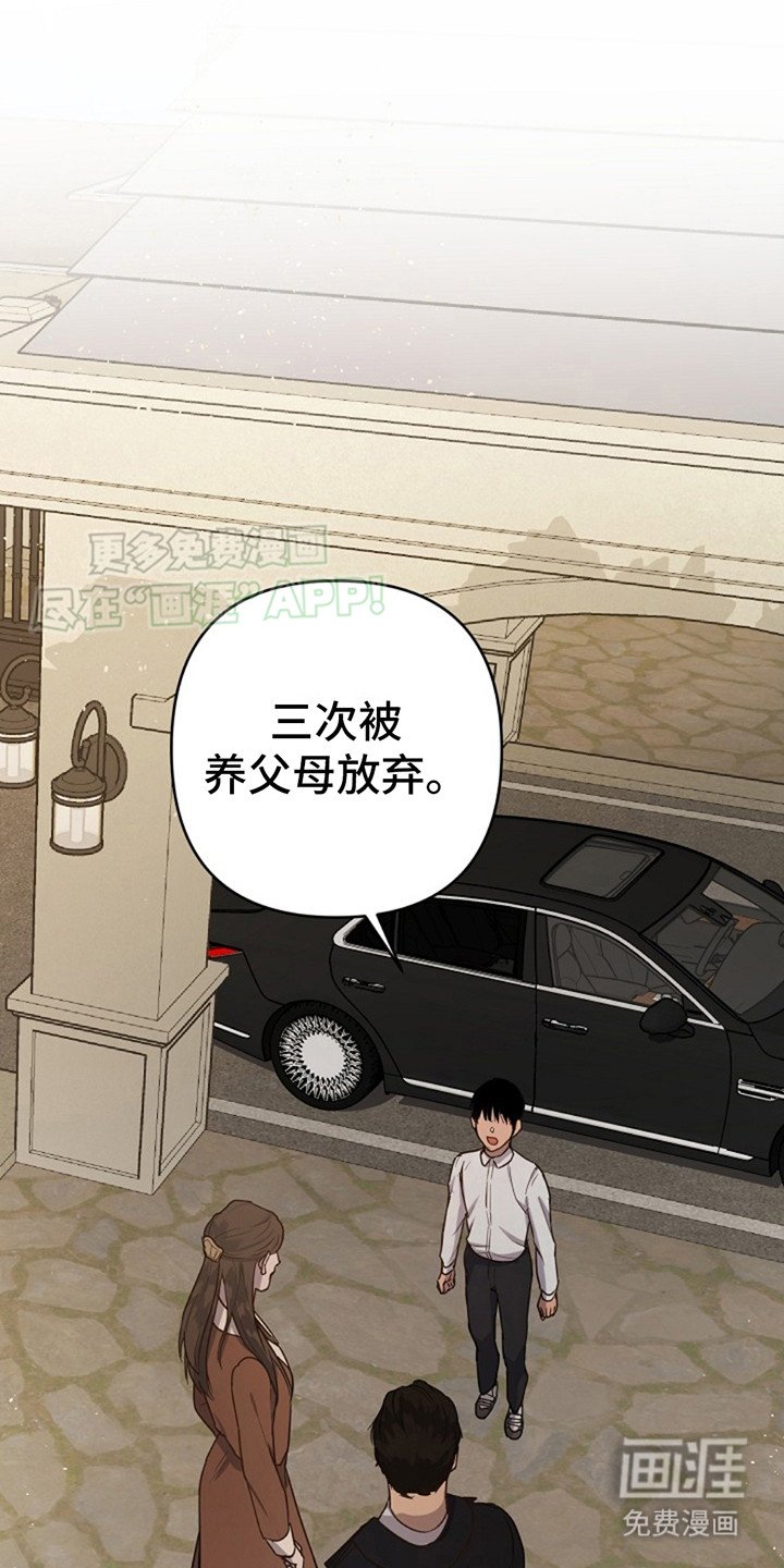 第2章：领养