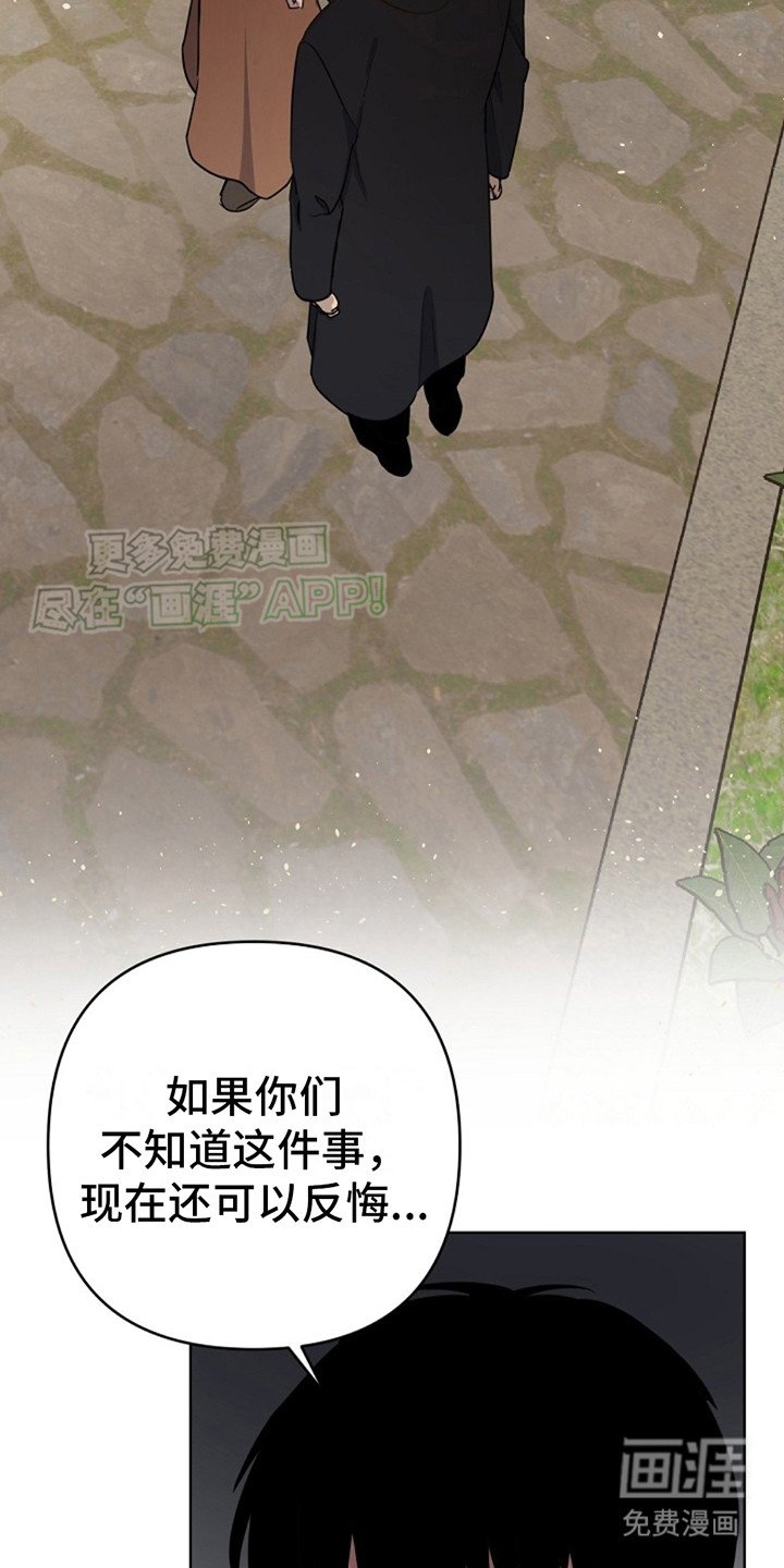 第2章：领养