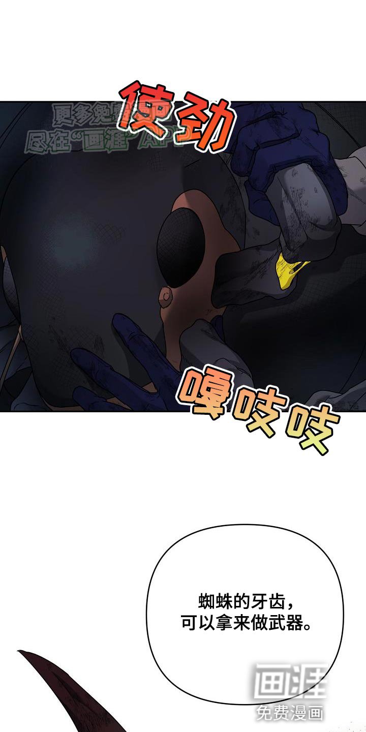 第21章：弱小