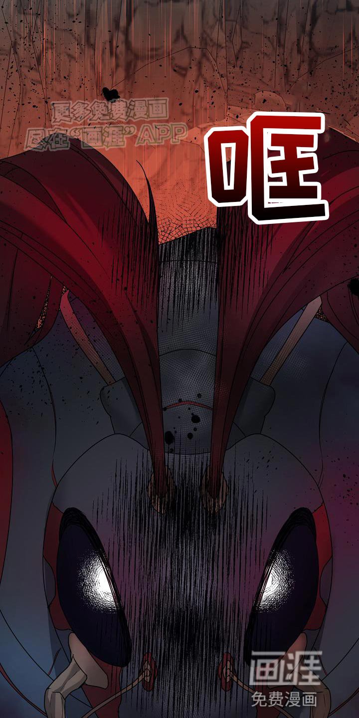 第24章：让我等到现在