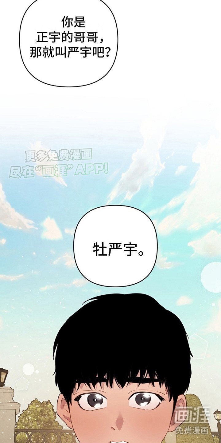 第3章：下决心