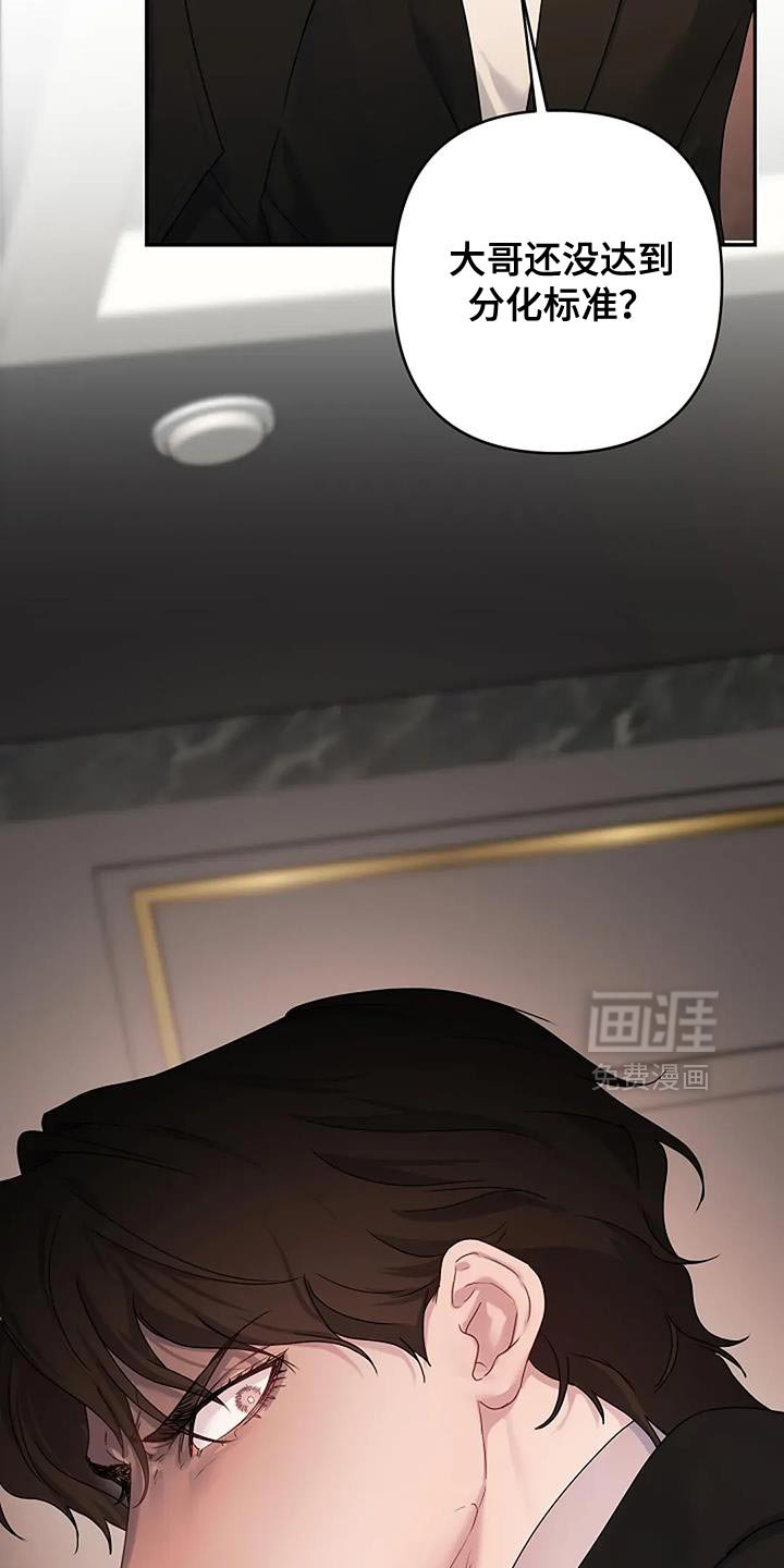 第33章：【第二季】报复