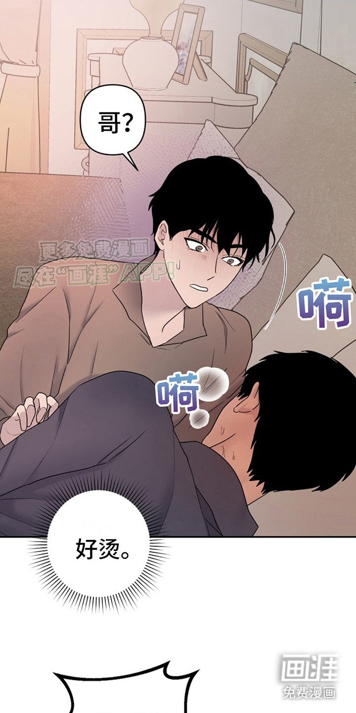 第8章：成功分化