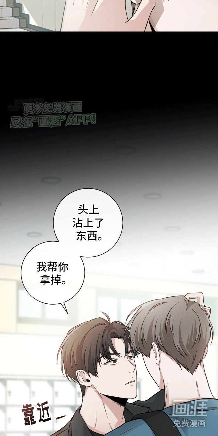 第12章：小心机
