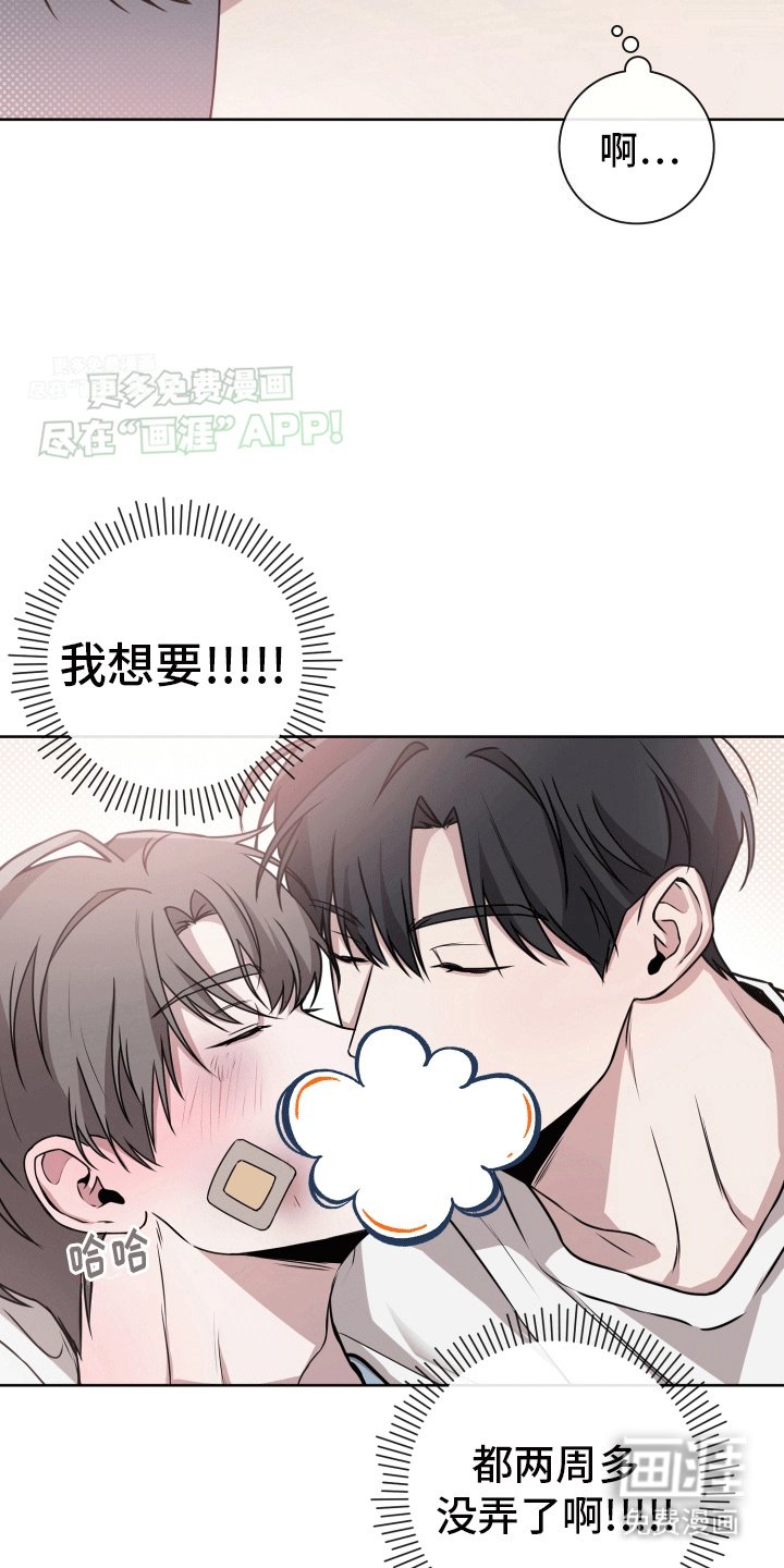 第15章：最后一次复合(完结）
