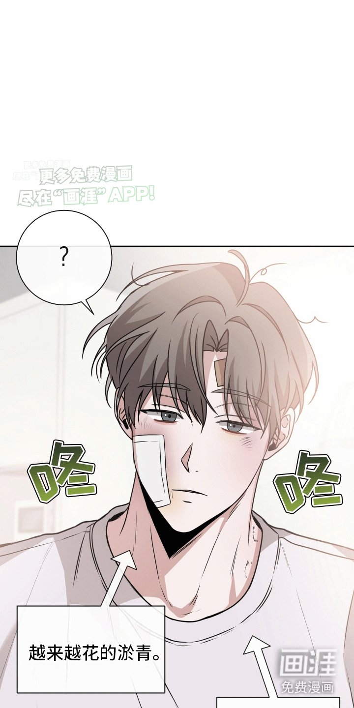 第15章：最后一次复合(完结）