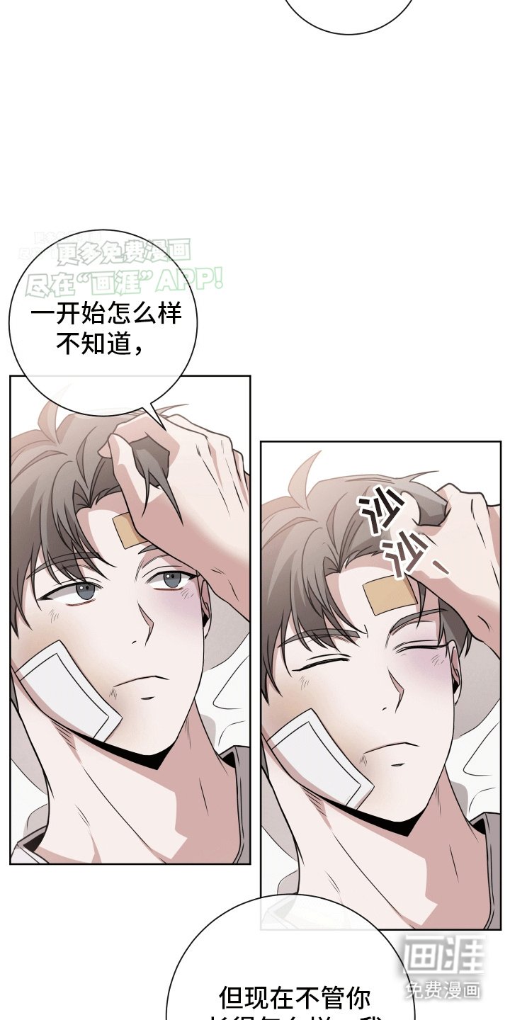 第15章：最后一次复合(完结）
