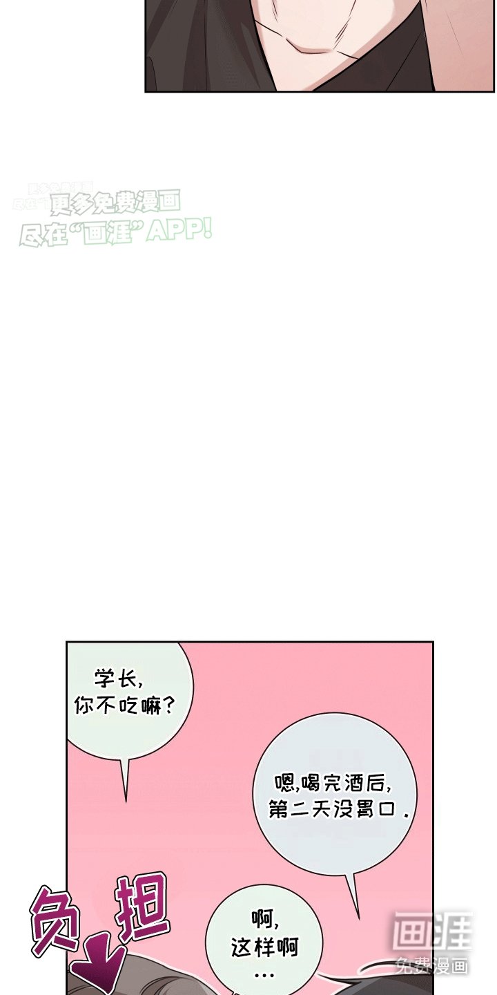 第3章：情谊渐浓