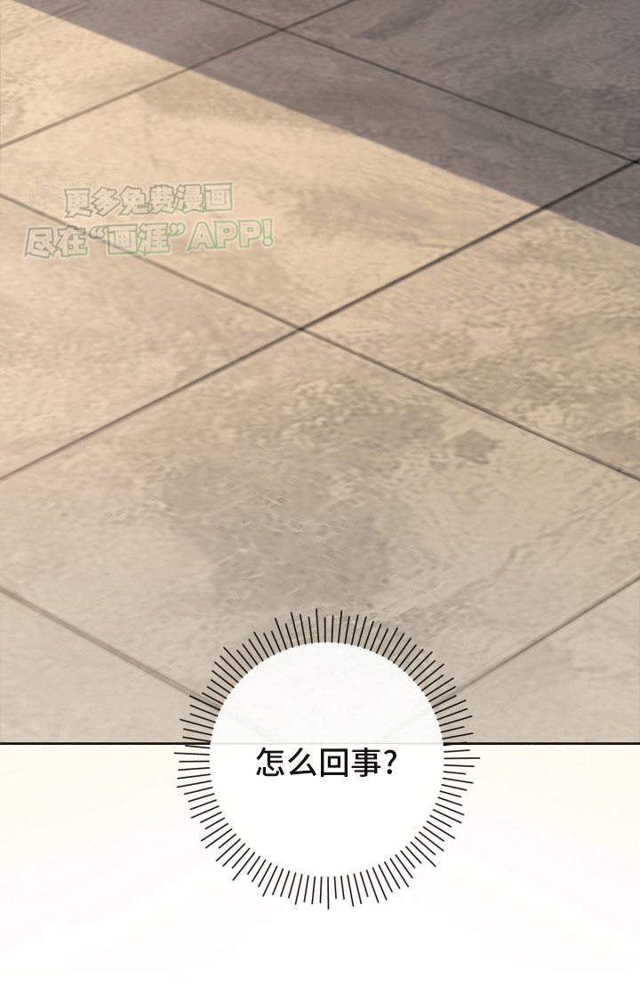 第5章：有贼心没贼胆