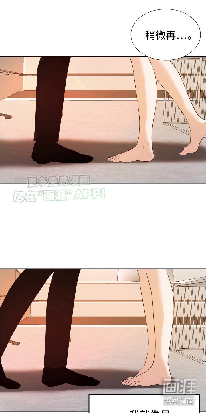 第13章：渴望信息素