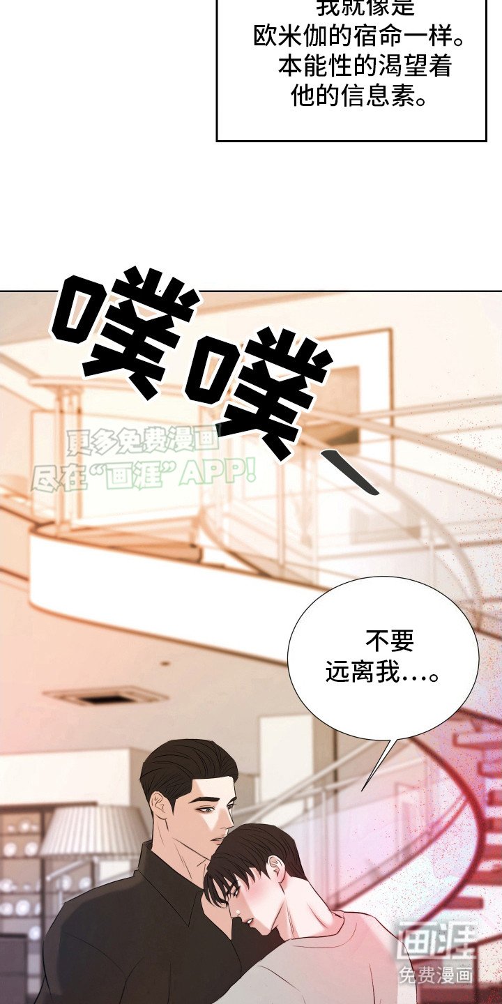 第13章：渴望信息素