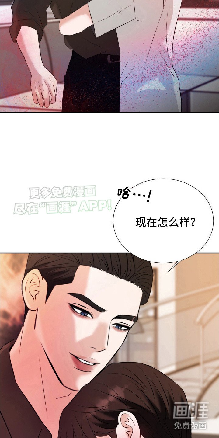 第13章：渴望信息素