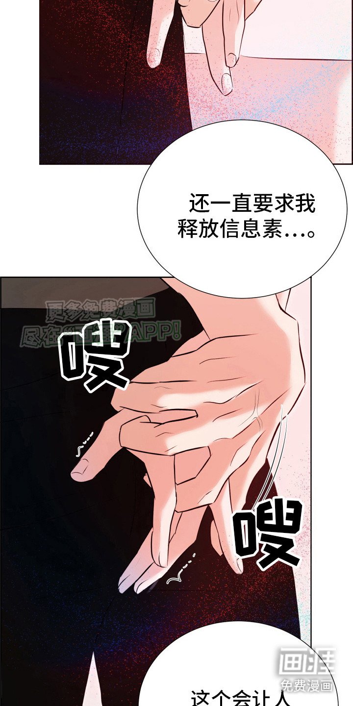 第13章：渴望信息素