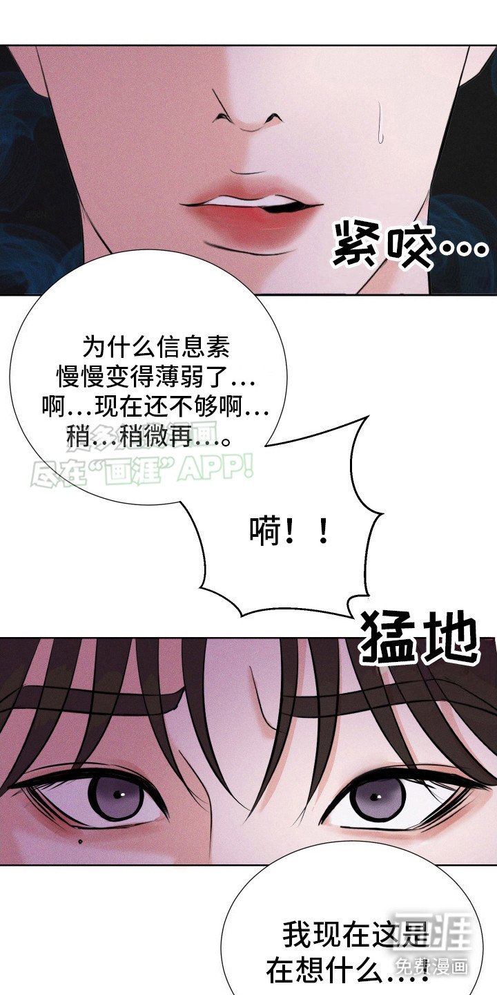 第13章：渴望信息素