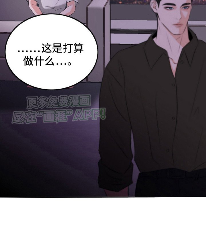 第13章：渴望信息素