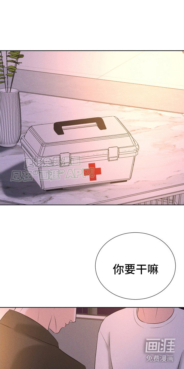 第14章：给出选择