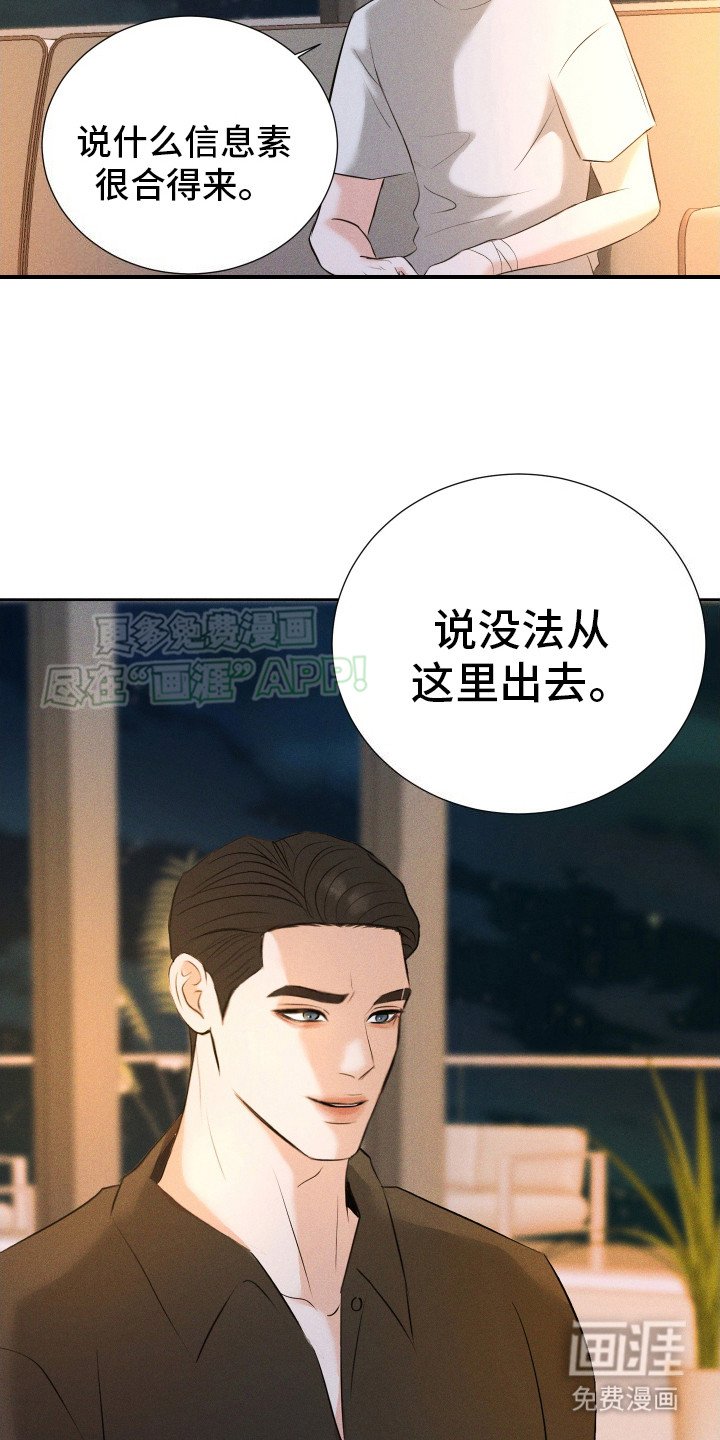 第14章：给出选择