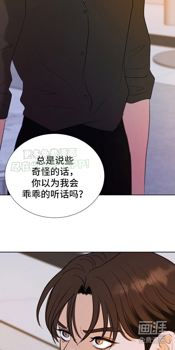 第14章：给出选择