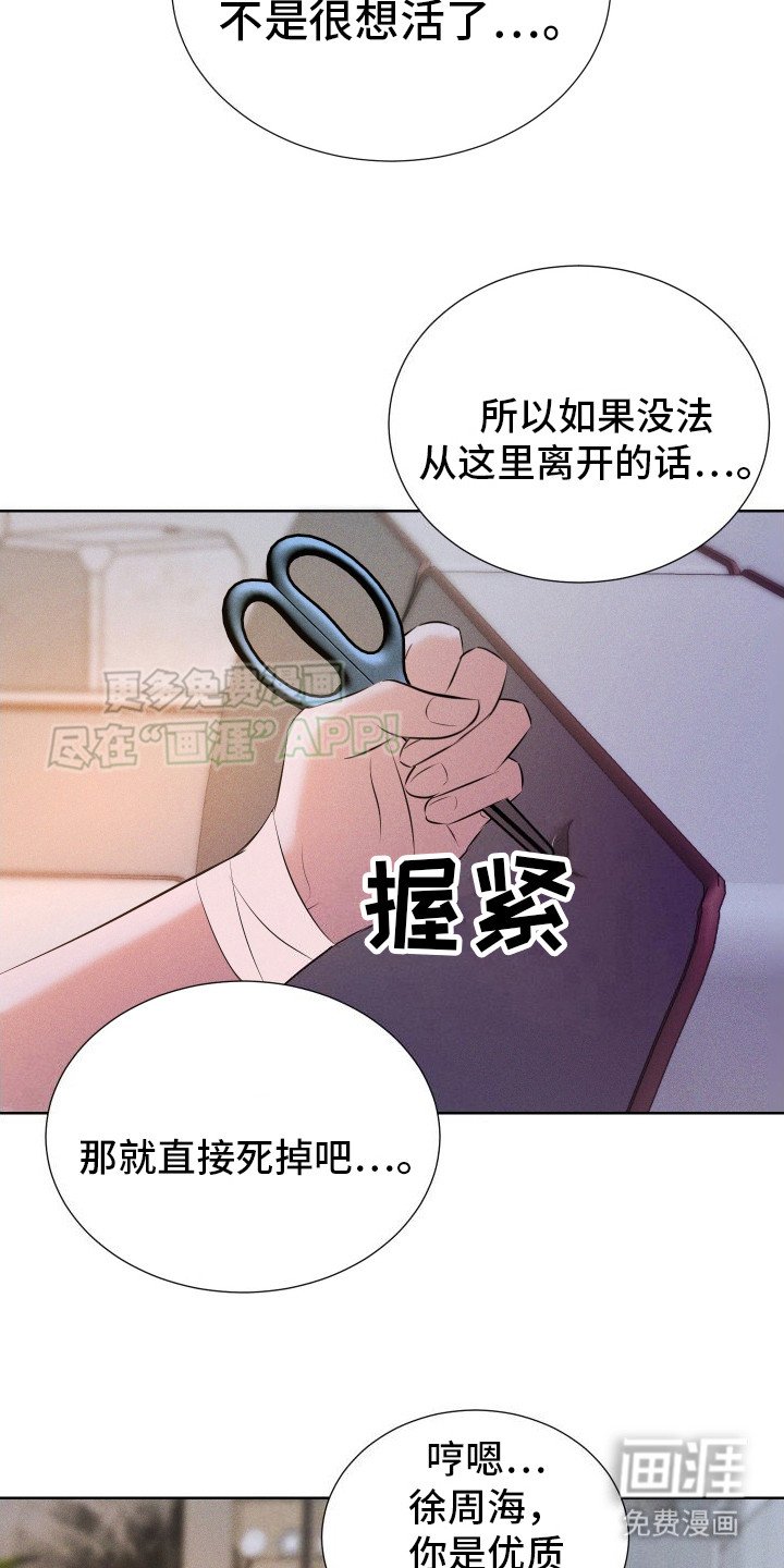 第14章：给出选择