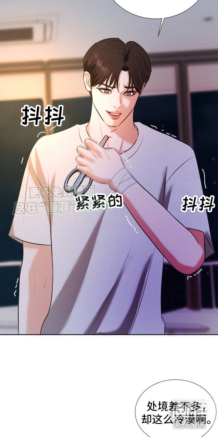 第14章：给出选择