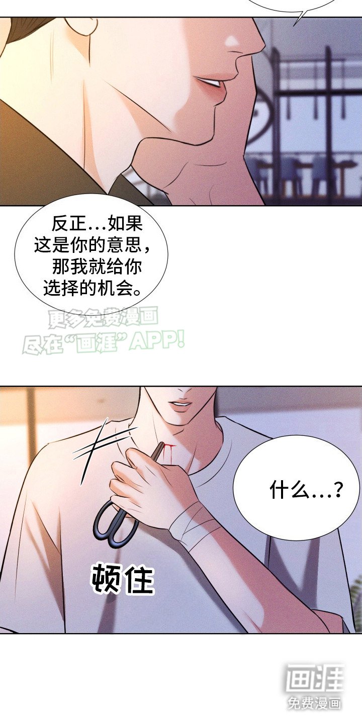 第14章：给出选择