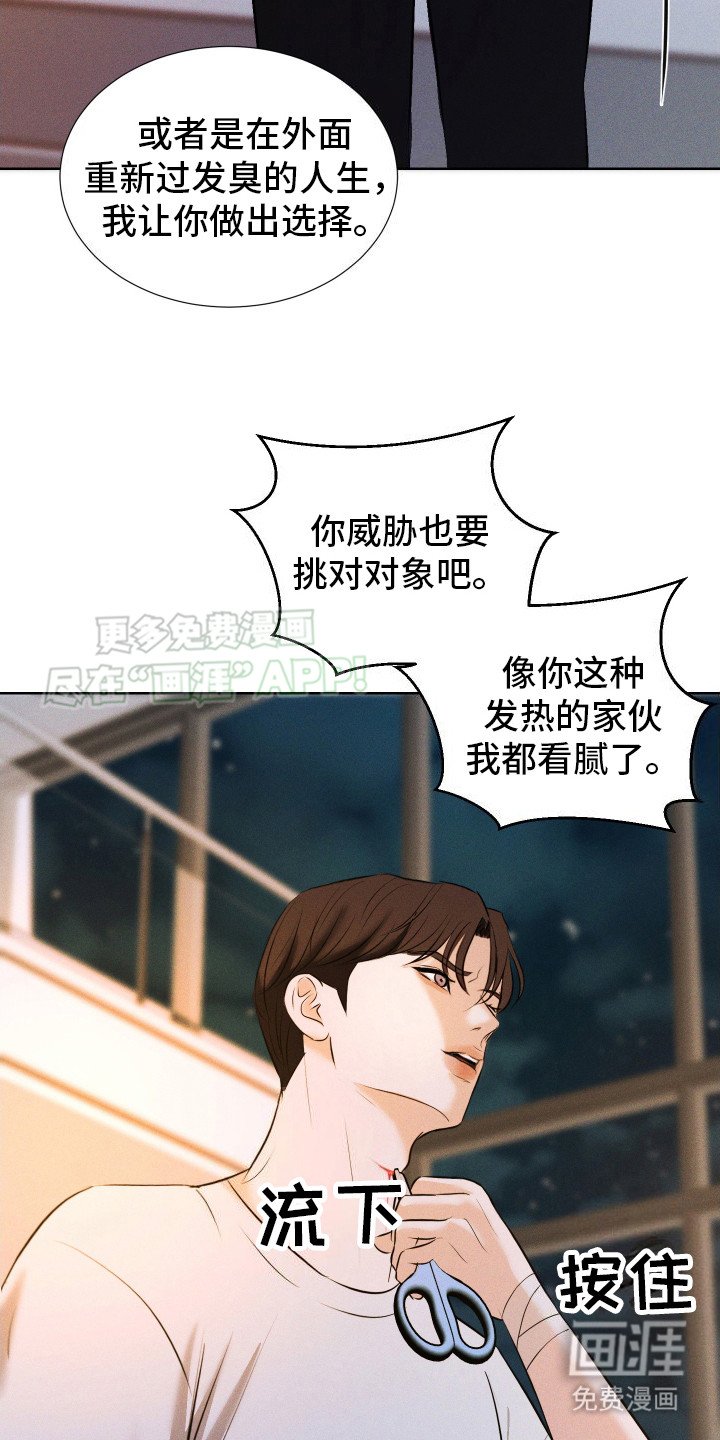 第14章：给出选择