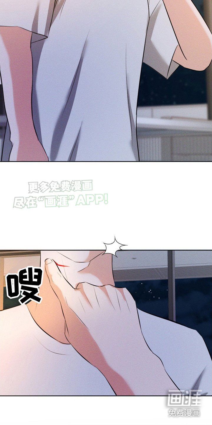 第14章：给出选择
