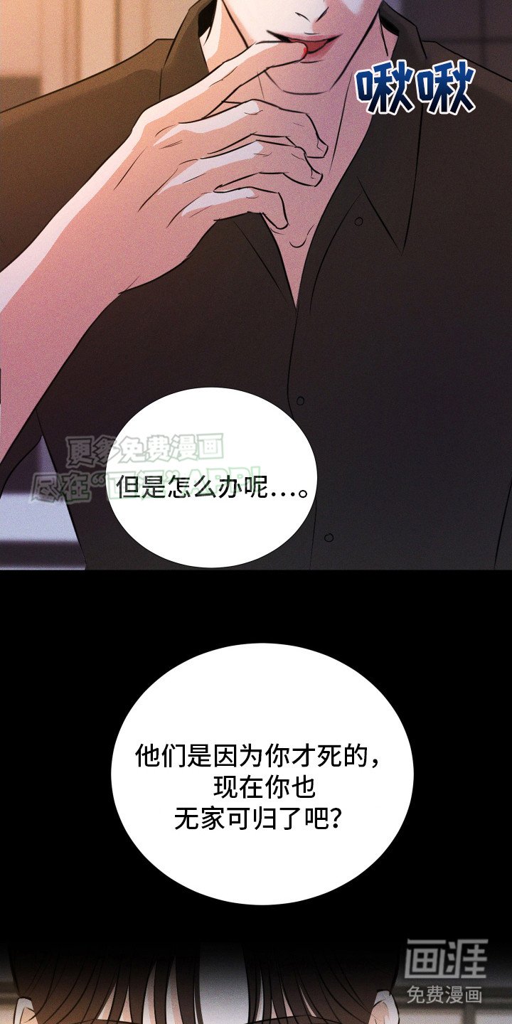 第14章：给出选择