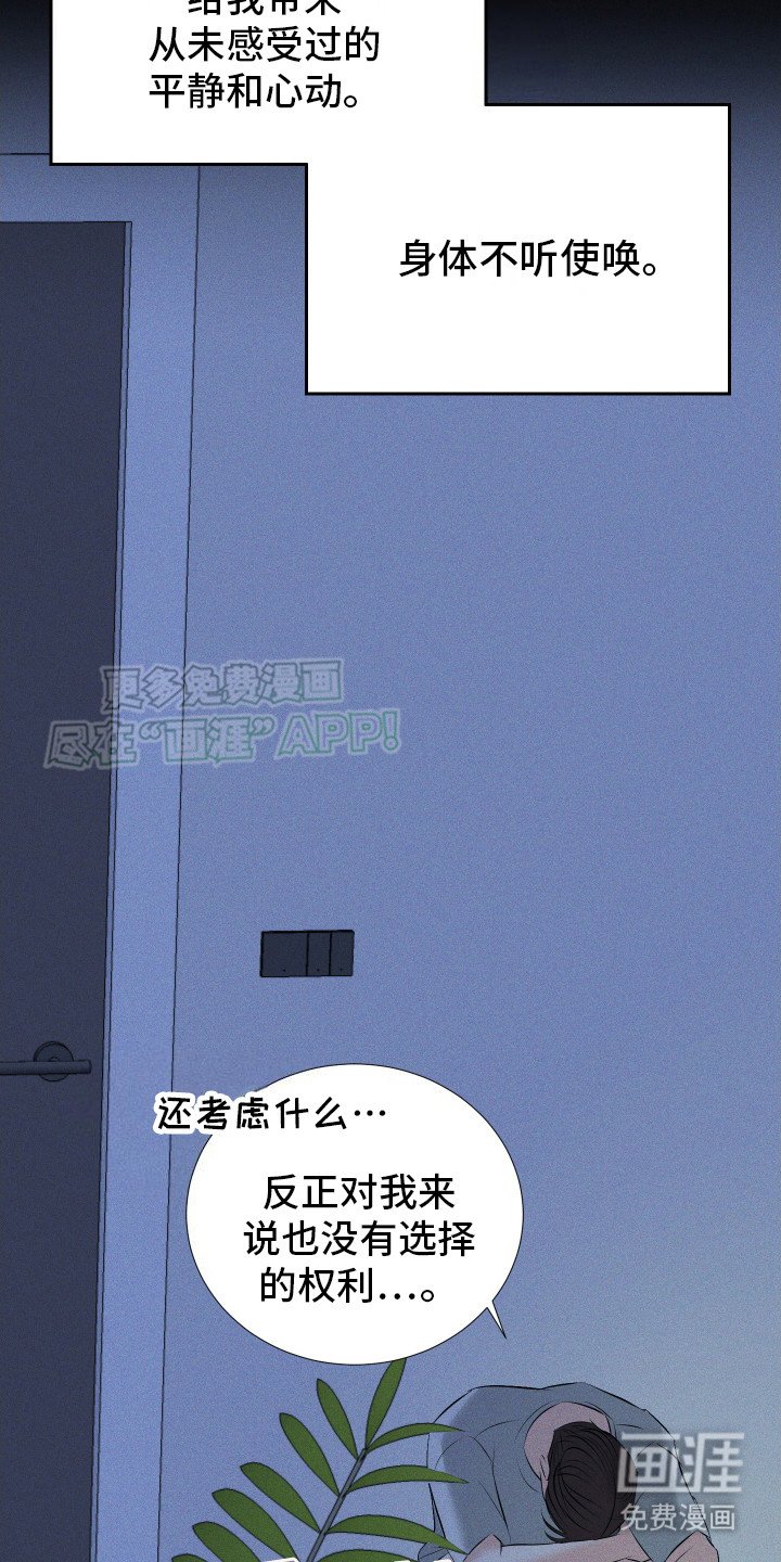 第15章：纠结