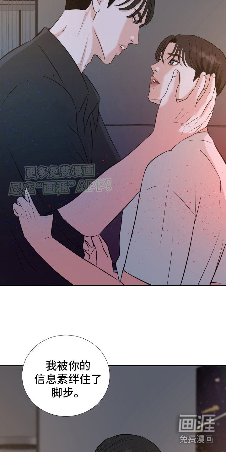 第18章：被牵绊（完结）