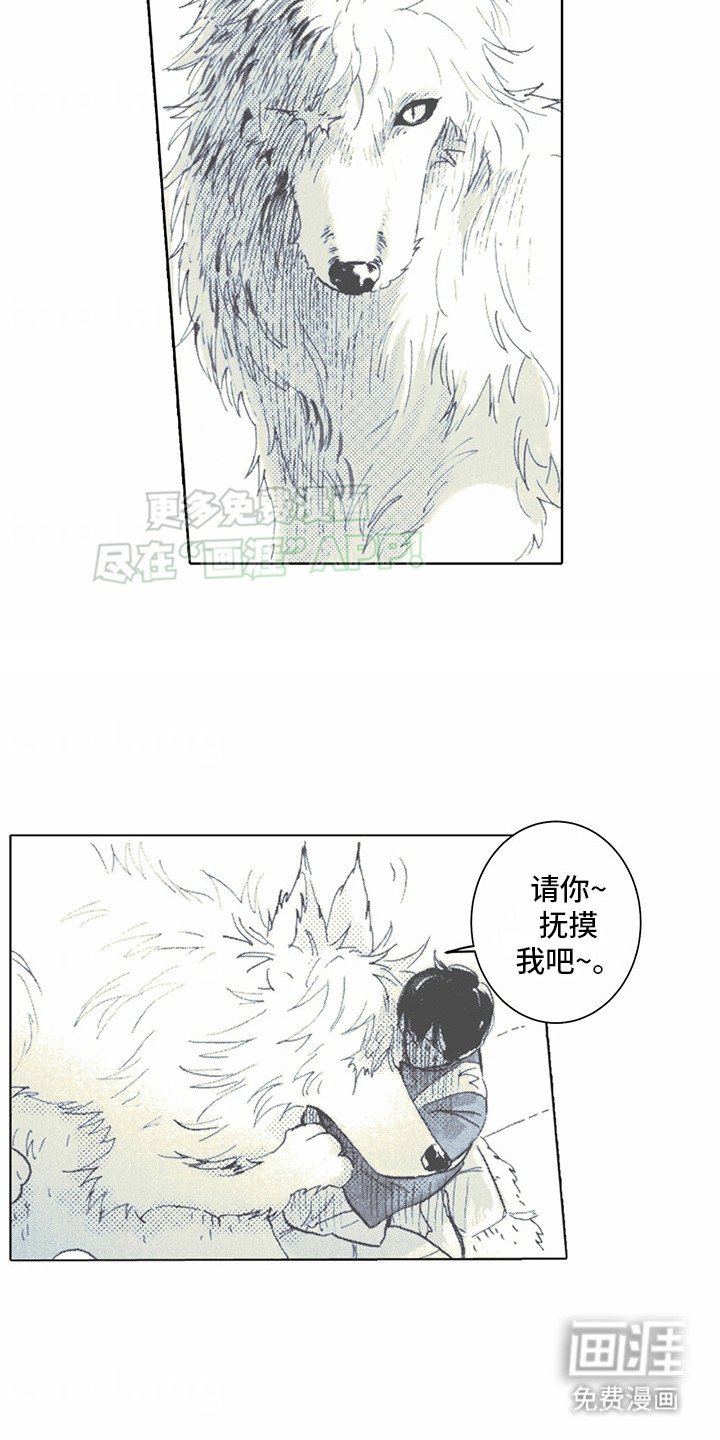 第2章：狼新娘：珠子