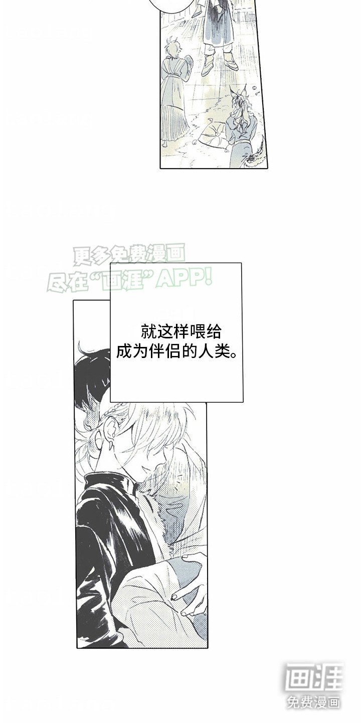第2章：狼新娘：珠子
