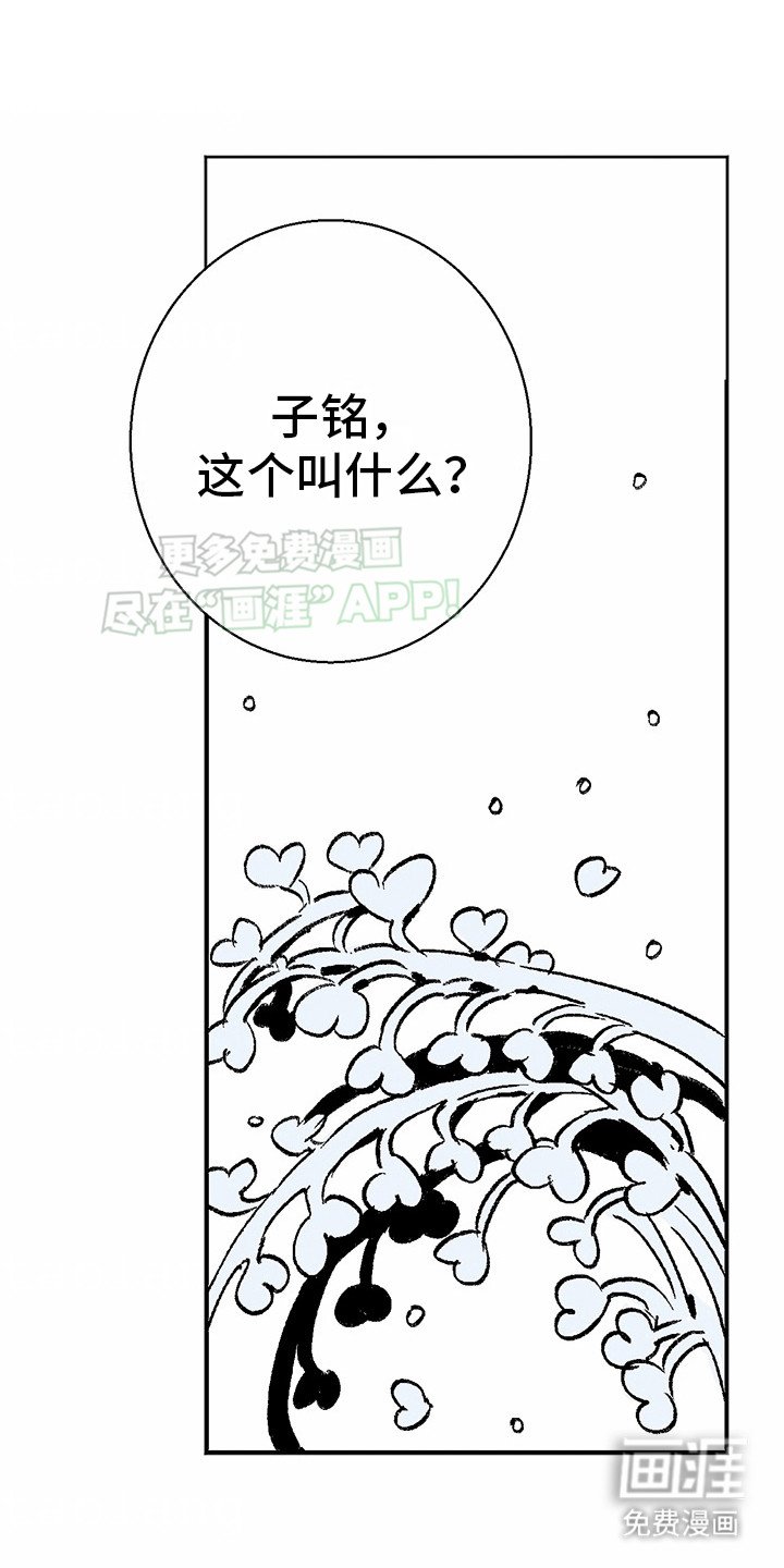 第3章：狼新娘：连心草