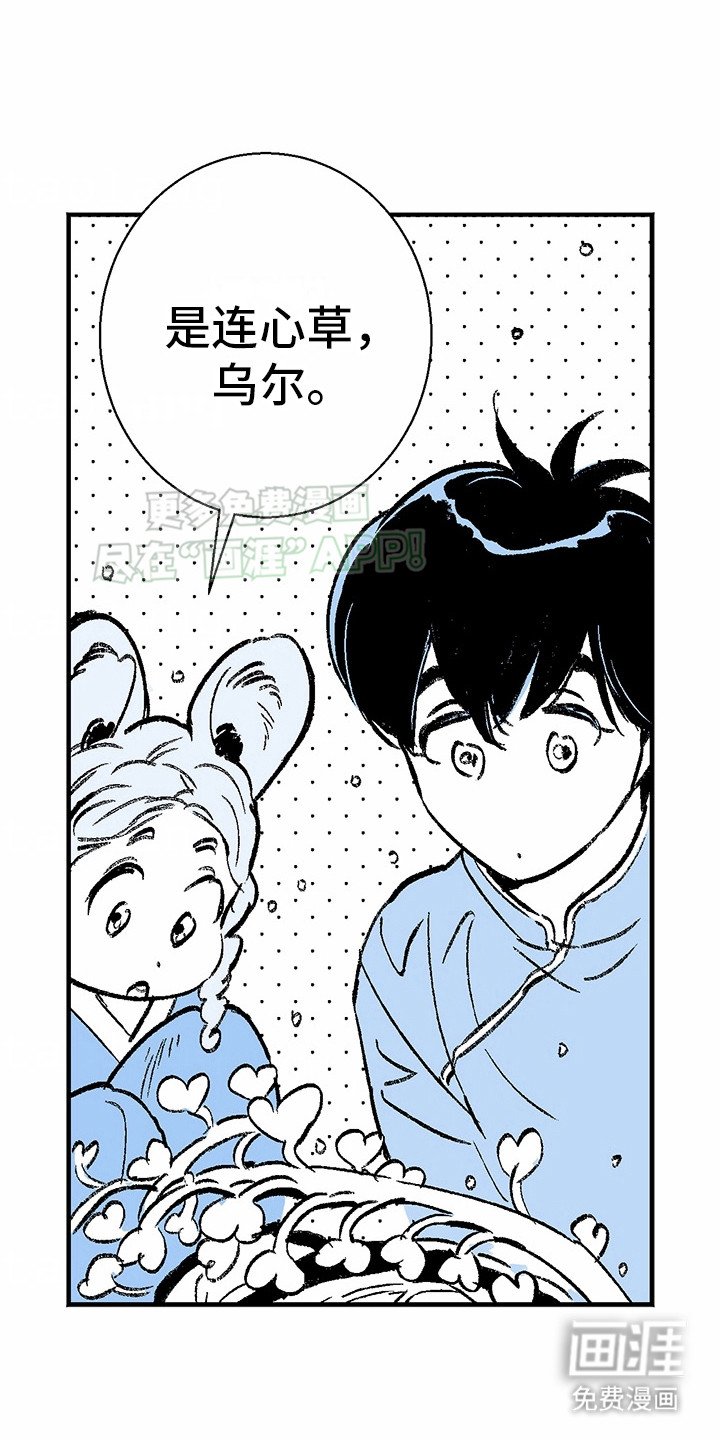 第3章：狼新娘：连心草