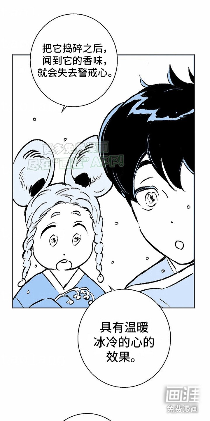 第3章：狼新娘：连心草
