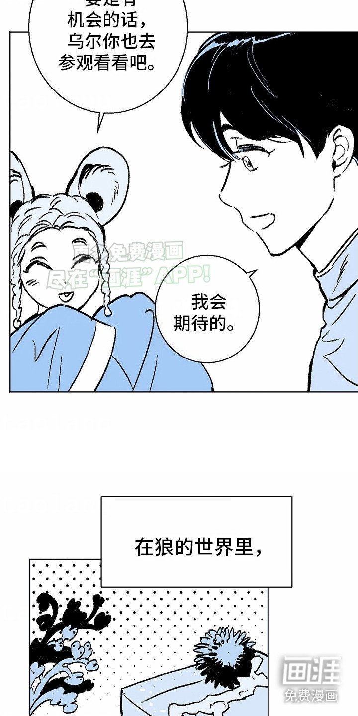 第3章：狼新娘：连心草