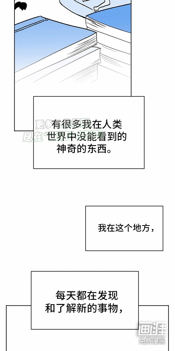 第3章：狼新娘：连心草